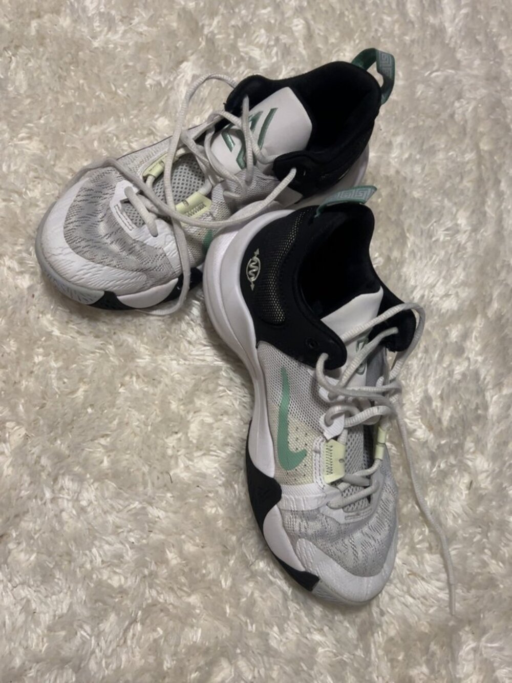 Nike Giannis Immortality 2 Size 6